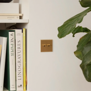 CONFIDENCE – Image 3